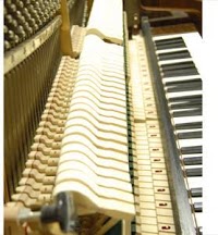 John Metcalfe Piano Tuner 256543 Image 4